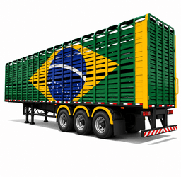 Boiadeiro Brasil